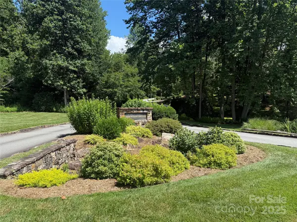 Lot 37 Mountain Brook TRL #37, Brevard, NC 28712