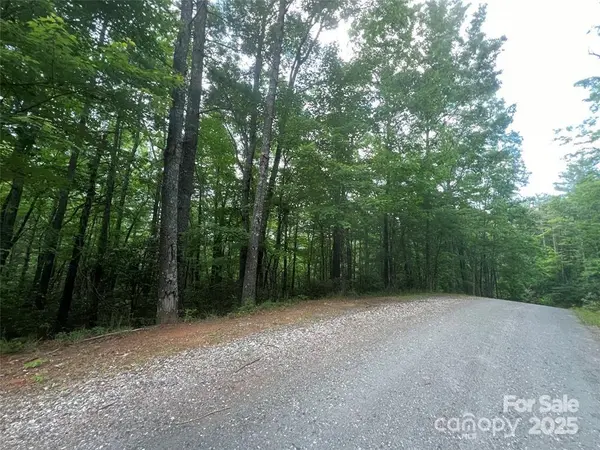 V/L Fox Ridge TRL #13, Marion, NC 28752