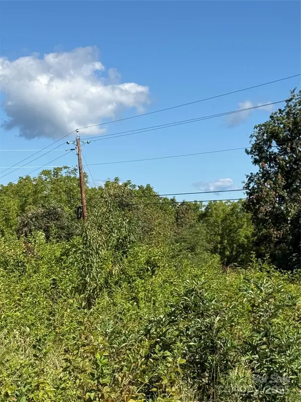 21 Eller Ford RD, Weaverville, NC 28787