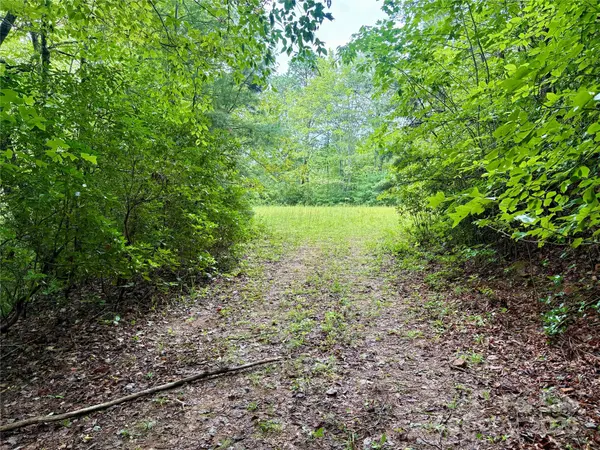 0 Chickadee DR #51, Bryson City, NC 28713