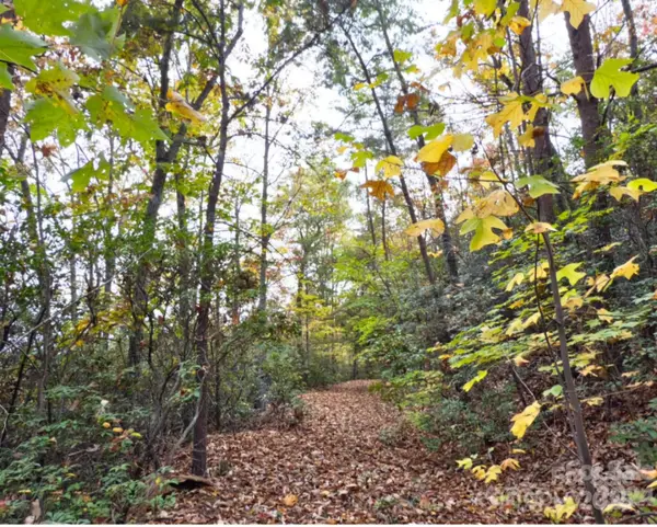 0 Mountain Lookout DR #35, Bostic, NC 28018