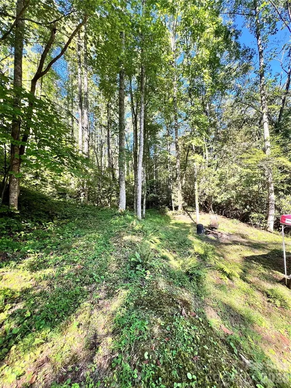 00 Battle Branch RD, Bakersville, NC 28705