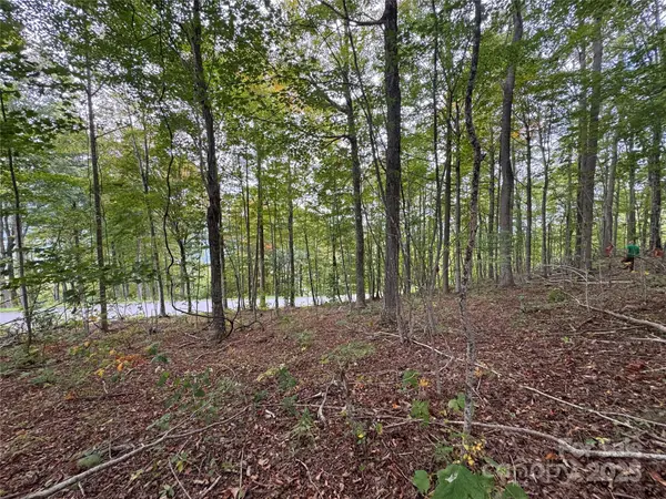 TBD Bear Paw RD #15, Elk Park, NC 28622