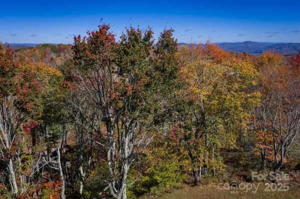 0-28 High Country Overlook, Elk Park, NC 28622