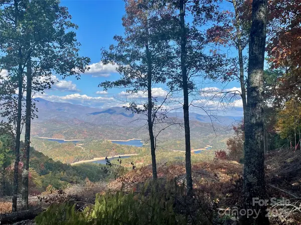 Lot 8 Rocky Ridge RD, Almond, NC 28702