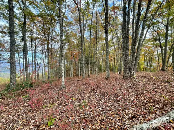 Lot 8 Rocky Ridge RD, Almond, NC 28702