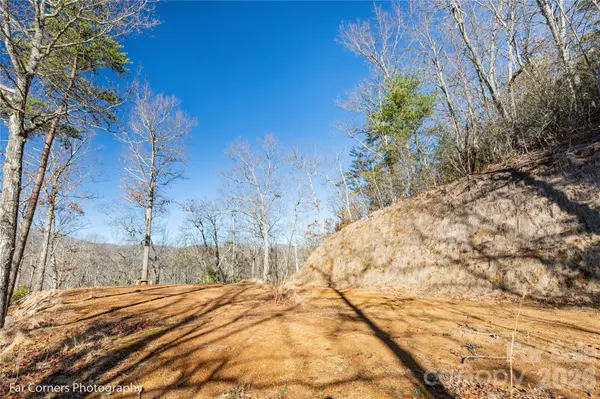 99999 Sourwood RD, Canton, NC 28716