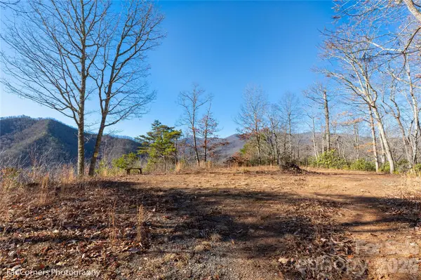 99999 Sourwood RD, Canton, NC 28716
