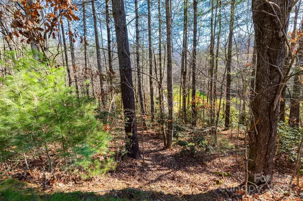 139 Chattooga RUN #221, Hendersonville, NC 28739