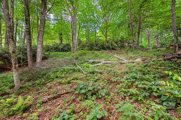140 Pine View RD #43, Newland, NC 28657