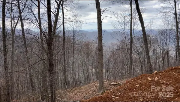 Lot 6 Andrew Banks RD, Burnsville, NC 28714