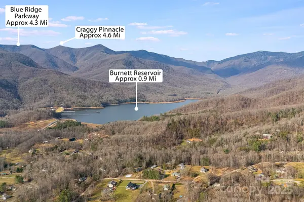 TBD Walker Mountain LN, Black Mountain, NC 28711