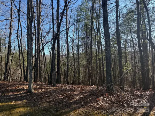 V/L Spanish Oak DR #9, Cedar Mountain, NC 28718