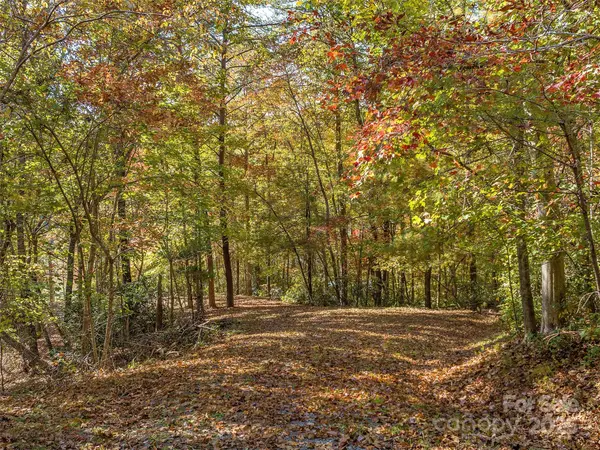 000 South Cove RD #17, Mill Spring, NC 28756