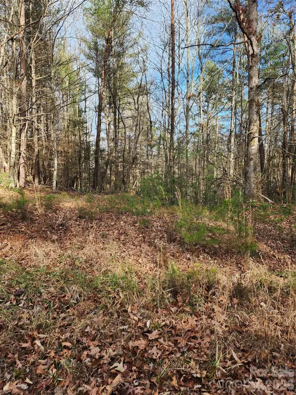 0 Rainbow Trout DR #14,  Hays,  NC 28635