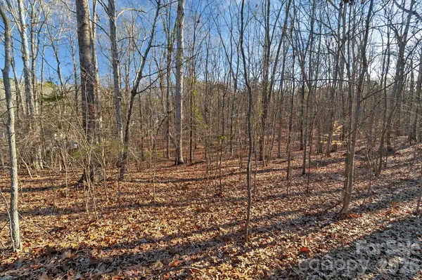 00 Glenola DR, Waxhaw, NC 28173