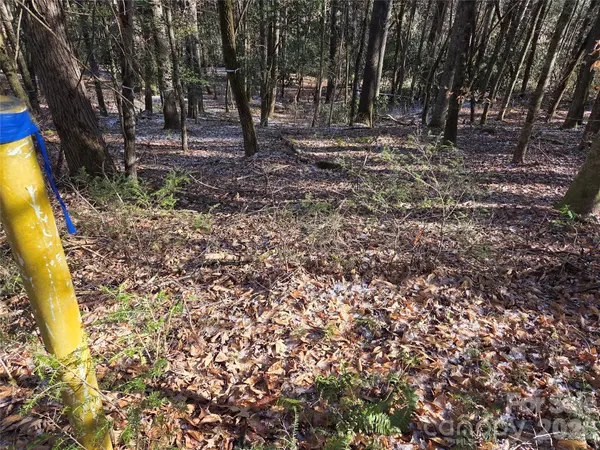 L11 Deerlake RD #11, Brevard, NC 28712