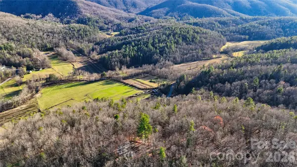 130 Brown Bear Ridge TRL #17, Zirconia, NC 28790