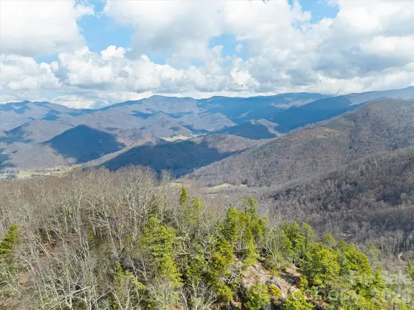 140 Wild Mountain LN, Barnardsville, NC 28709