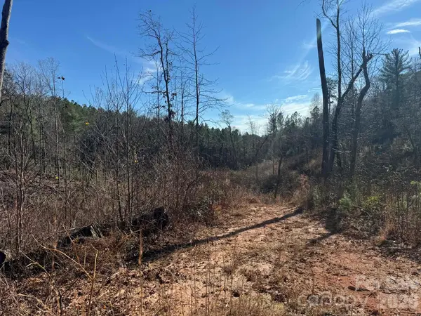 TBD Old Railroad Grade RD, Thurmond, NC 28683