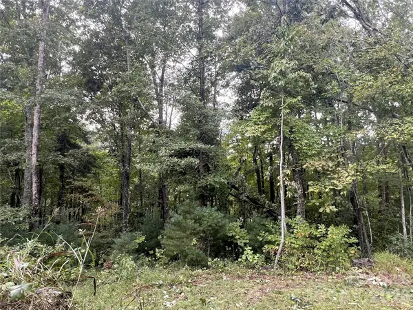 99999 Pole Creasman RD, Asheville, NC 28806