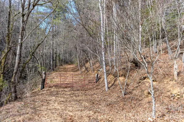 000 Narrow Gauge DR #23, Collettsville, NC 28611