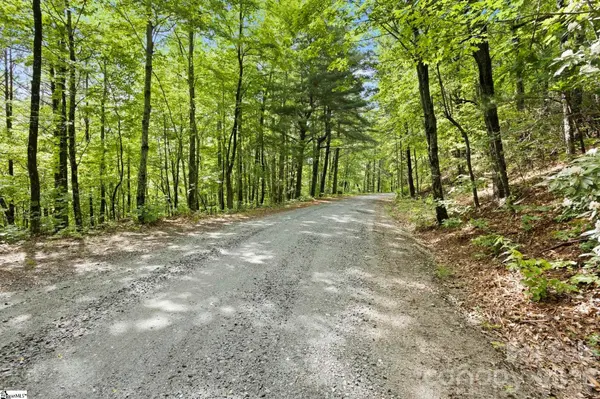 430 N Lakeview DR, Tryon, NC 28773