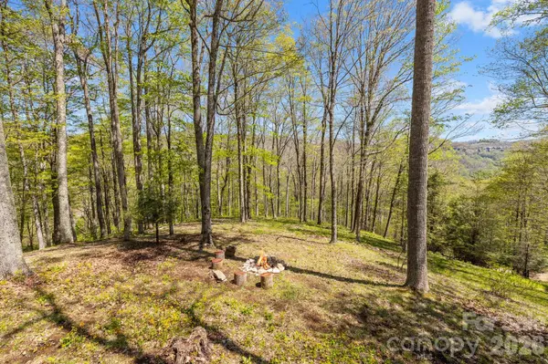 868 English Ridge DR, Mars Hill, NC 28754