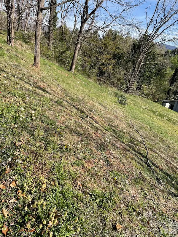 00 Locust ST, Canton, NC 28716