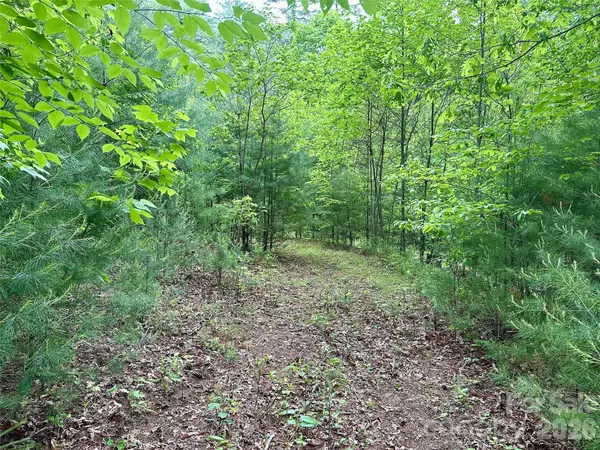 11 Wildlife DR #11, Clyde, NC 28721