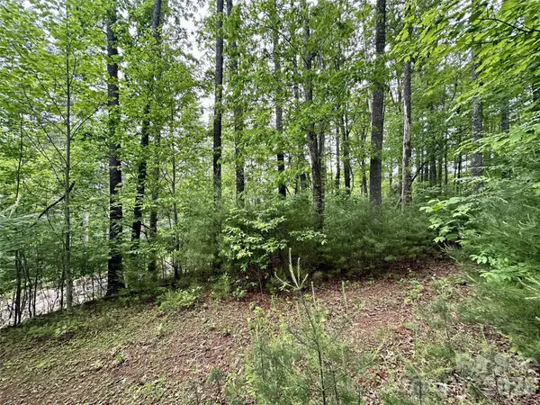 11 Wildlife DR #11, Clyde, NC 28721