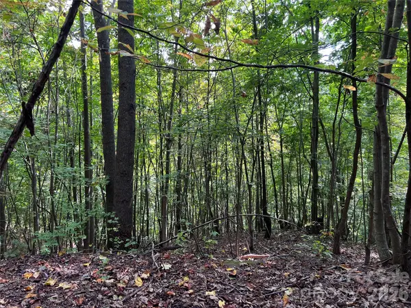 0 Old Forge DR #94, Bostic, NC 28018