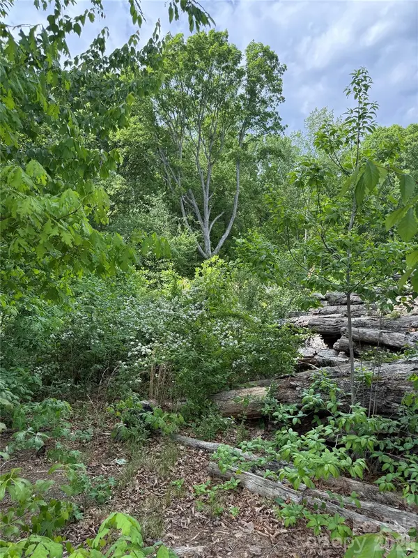 495 Forest View DR, Kannapolis, NC 28081