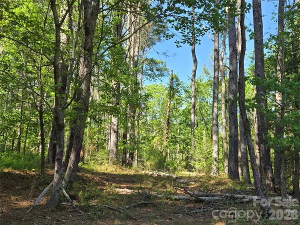 0 Blaine RD, Badin Lake, NC 27371