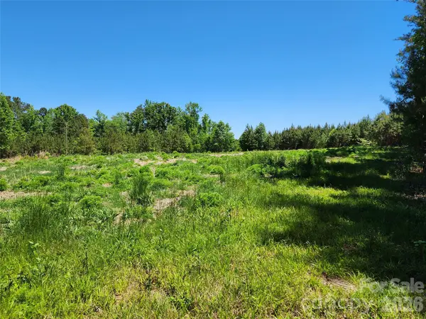 2423 Pine Grove Church RD, Eagle Springs, NC 28272
