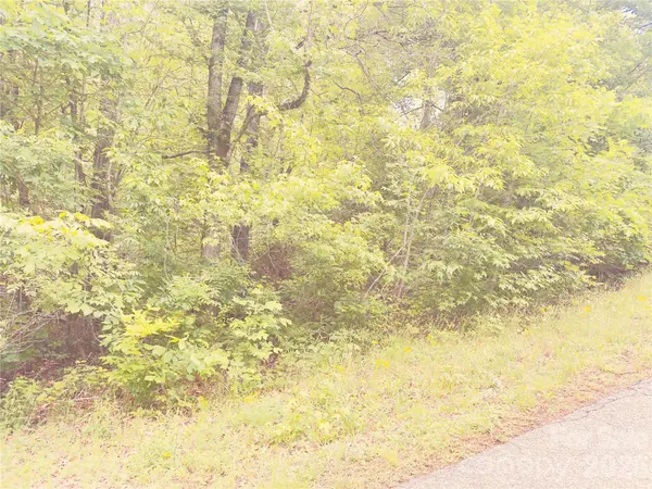 5 Cedarbrook LN #5, Nebo, NC 28761