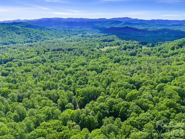 303 Brightwater Heights DR, Hendersonville, NC 28791
