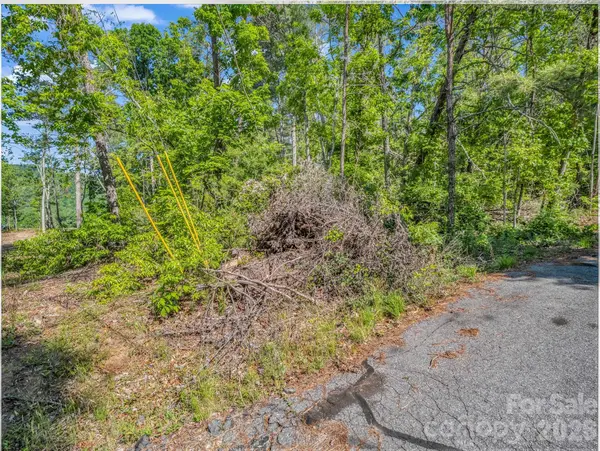 9999 Sedgewood CT, Fairview, NC 28730