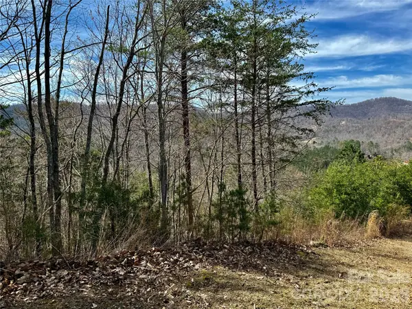 Lot 165 Pinegrove DR #165, Bostic, NC 28018