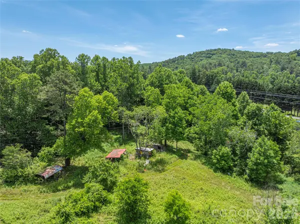 999 Pressley LN, Horse Shoe, NC 28742