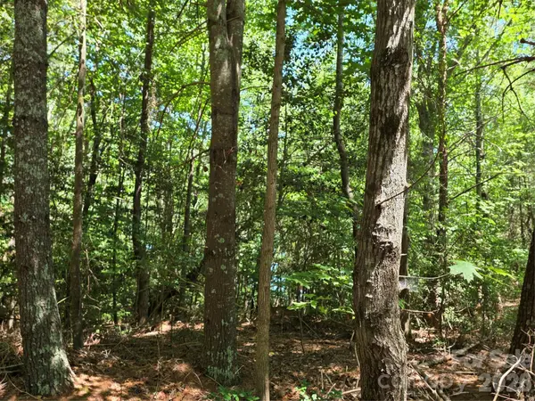 1635 Braxton Gate DR #198, Morganton, NC 28655