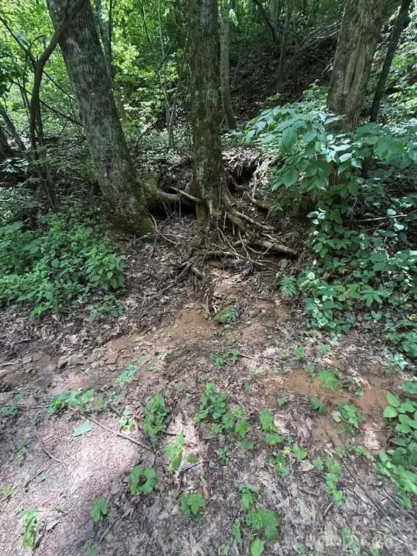 000 Summit RD #343, Tryon, NC 28782