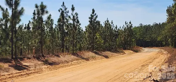 1045 Mcqueen RD, Patrick, SC 29584