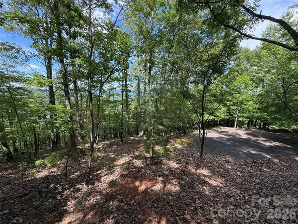 0 Scouts TRL #103, Bostic, NC 28018
