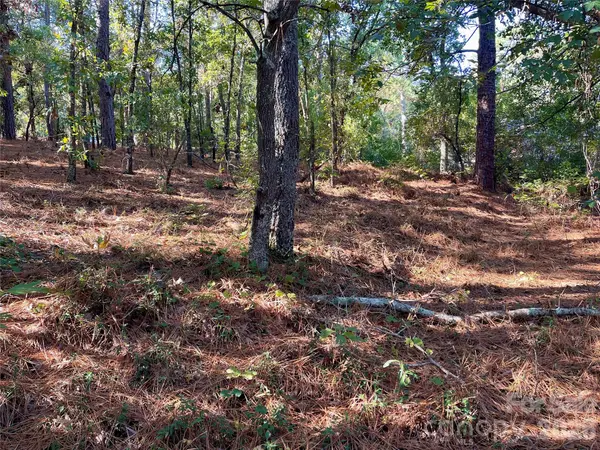 0 Hylan AVE, Hamlet, NC 28345