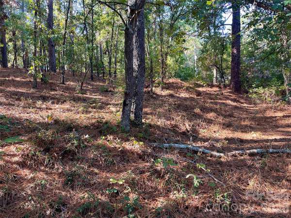 0 Hylan AVE, Hamlet, NC 28345