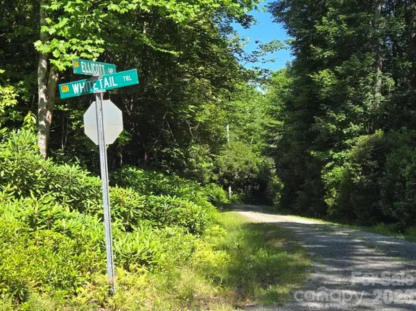 100/101 Ellicott Gap None, Rosman, NC 28772
