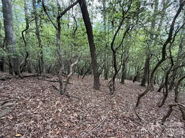 TBD Tellico TRL #42/22, Brevard, NC 28712