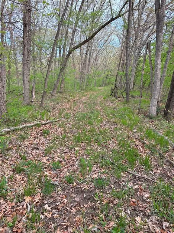 Desoto AVE, Mercer, MO 64661