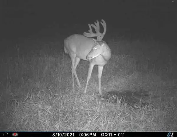 Hwy 129 HWY, Other, MO 63558